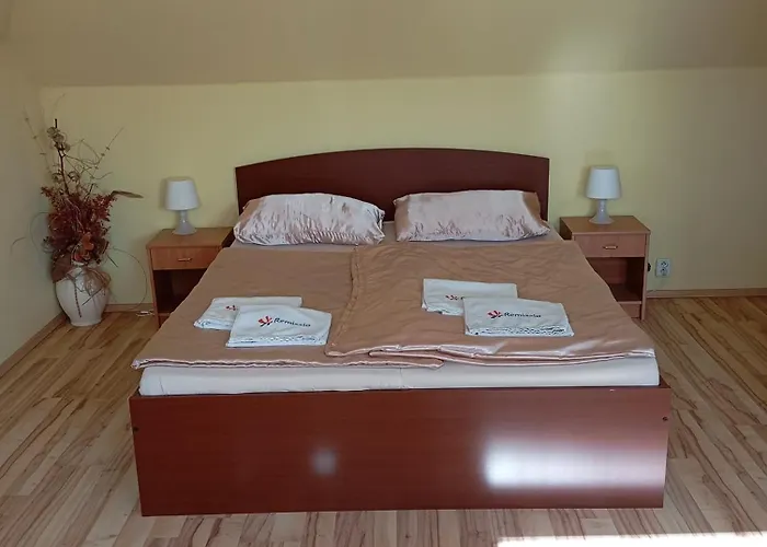 Relax Vila Se Zahradnim Wellness Villa Ostrava